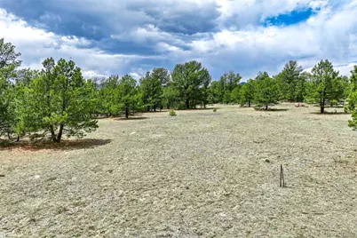 Tract 103 Doe Valley Road, Guffey, CO 80820 - Photo 40