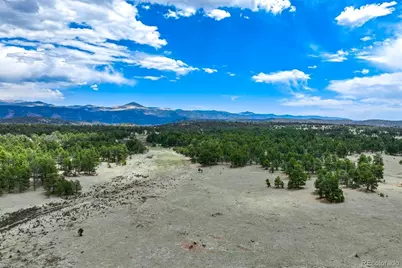 Tract 103 Doe Valley Road, Guffey, CO 80820 - Photo 46