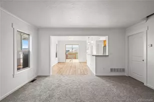 107 Cantril, Castle Rock, CO 80104 - Photo 48