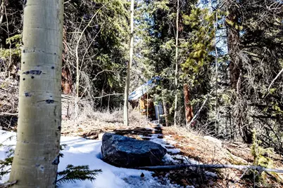 944 Roberts Road, Alma, CO 80420 - Photo 22