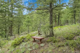 360 Aspen Pl, Evergreen, CO 80439 - Photo 46