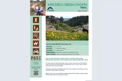 710 Howe Court, Castle Rock, CO 80104 - Photo 32