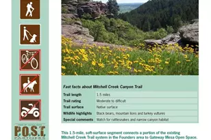 710 Howe Ct, Castle Rock, CO 80104 - Photo 32