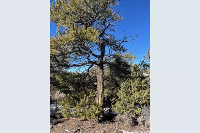 Lot 8 Coyote Court, San Luis, CO 81152 - Photo 20