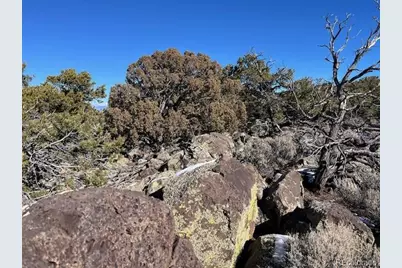 Lot 8 Coyote Court, San Luis, CO 81152 - Photo 22