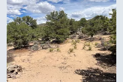Lot 8 Coyote Court, San Luis, CO 81152 - Photo 12