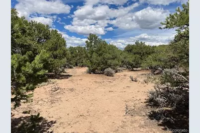 Lot 8 Coyote Court, San Luis, CO 81152 - Photo 6