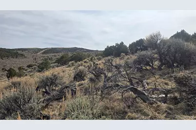 Lot 4536 Sarnoff Road, Fort Garland, CO 81133 - Photo 14