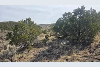 Lot 4536 Sarnoff Road, Fort Garland, CO 81133 - Photo 10