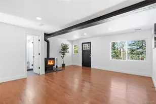 1645 Little Bear Creek Rd, Idaho Springs, CO 80452 - Photo 10