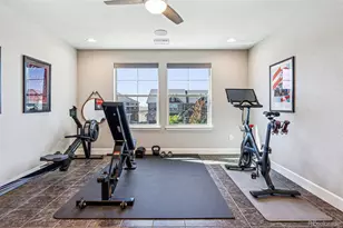 399 Painted Horse Way, Erie, CO 80516 - Photo 38