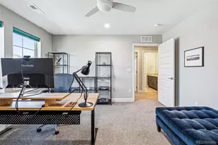 399 Painted Horse Way, Erie, CO 80516 - Photo 34