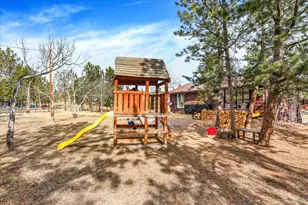 249 Burland Dr, Bailey, CO 80421 - Photo 30