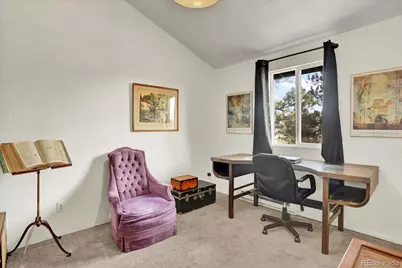 249 Burland Drive, Bailey, CO 80421 - Photo 14