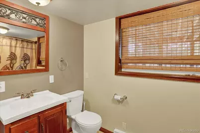 249 Burland Drive, Bailey, CO 80421 - Photo 20