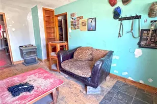 209 Antrodemus Alley, Dinosaur, CO 81610 - Photo 2