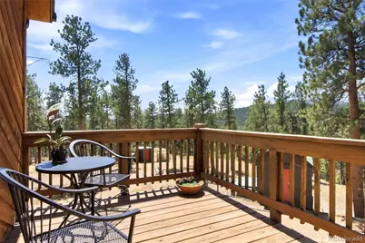 278 Hayes Street, Bailey, CO 80421 - Photo 30