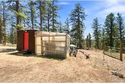 278 Hayes Street, Bailey, CO 80421 - Photo 38