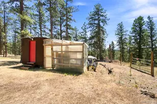 278 Hayes St, Bailey, CO 80421 - Photo 38