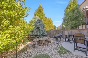 14418 Double Dutch Cir, Parker, CO 80134 - Photo 38