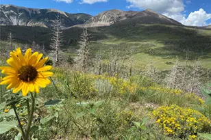1833 Yellowstone Creek Rd, La Veta, CO 81055 - Photo 40