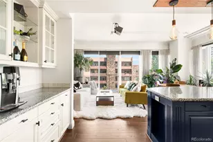 400 E 3rd Ave, Denver, CO 80203 - Photo 16