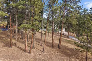 8836 Surrey Dr, Evergreen, CO 80439 - Photo 36