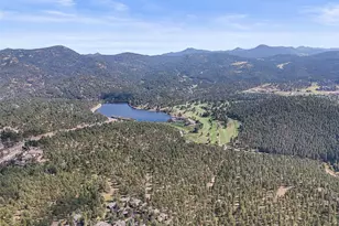 29906 Troutdale Park Pl, Evergreen, CO 80439 - Photo 36