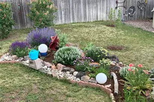 11447 Brownstone Dr, Parker, CO 80138 - Photo 44