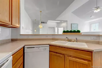 1237 Carlyle Park Circle, Highlands Ranch, CO 80129 - Photo 12