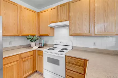 1237 Carlyle Park Circle, Highlands Ranch, CO 80129 - Photo 10