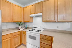 1237 Carlyle Park Cir, Highlands Ranch, CO 80129 - Photo 10