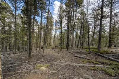 1430 Singletree Road, Hartsel, CO 80449 - Photo 20