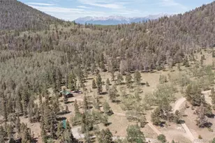 115 Mushroom Ct, Buena Vista, CO 81211 - Photo 10