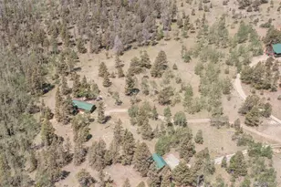 115 Mushroom Ct, Buena Vista, CO 81211 - Photo 46