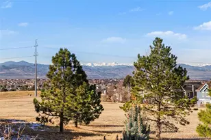 7549 Bantry Ct, Lone Tree, CO 80124 - Photo 26