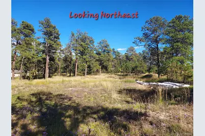 13395 Frank Road, Colorado Springs, CO 80908 - Photo 8