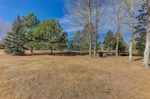 12972 Banyon Cir, Parker, CO 80134 - Photo 46