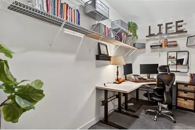 2474 Lassen Lane, Castle Rock, CO 80109 - Photo 38