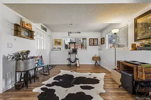 9383 Weeping Willow Ct, Highlands Ranch, CO 80130 - Photo 20