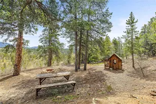 125 Rd P62, Bailey, CO 80421 - Photo 22