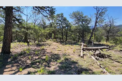 134 Knight Lane, Cotopaxi, CO 81223 - Photo 22