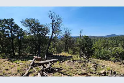 134 Knight Lane, Cotopaxi, CO 81223 - Photo 6