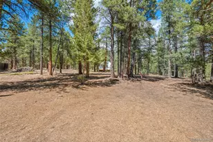237 Rd B, Pine, CO 80470 - Photo 8