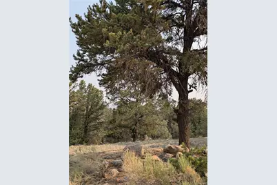 1704 Willow Creek Way, Crestone, CO 81131 - Photo 2