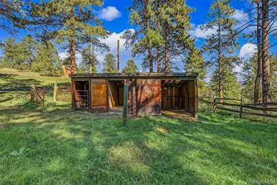 29592 Dorothy Road, Evergreen, CO 80439 - Photo 12