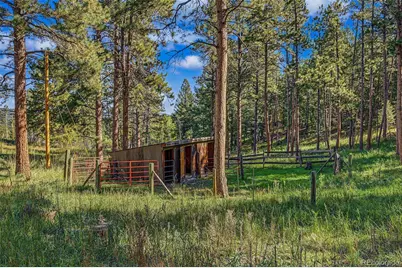 29592 Dorothy Road, Evergreen, CO 80439 - Photo 34