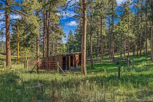 29592 Dorothy Rd, Evergreen, CO 80439 - Photo 34