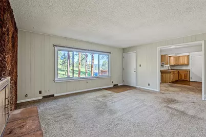 29592 Dorothy Road, Evergreen, CO 80439 - Photo 4