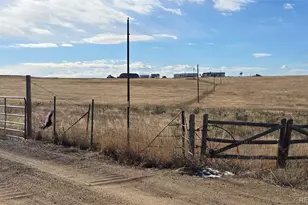 26101 Flower Cir, Simla, CO 80835 - Photo 48